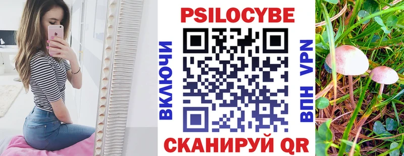 Галлюциногенные грибы Magic Shrooms  Каргат 